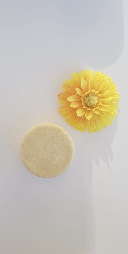 Shampoing solide tous types de cheveux